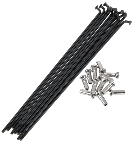 A ABSOPRO 14G Raggi per Bicicletta 12 Pezzi con 12 Pezzi Nipplo Raggi Ruota Bici in Acciaio Inossidabile 304 Nero