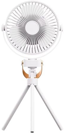 DESHOME Rechargeable Desk Fan, 360° Rotate 4 Speeds Wind Camping Fan with Light/20000mAh Battery,USB and Type-C Outputs Table Fan with Detachable Tripod/Hook,for Home Outdoor Travelling,White