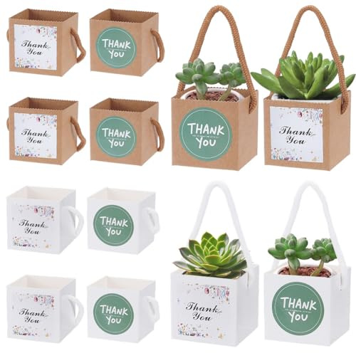 BENECREAT 60 bolsas de 2 colores de 2.5 pulgadas para suculentas con calcomanías y tarjetas de agradecimiento, caja de regalo suculenta para bodas, regalos de fiesta suculentas para invitados