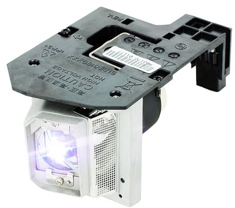 iReijomoi Ampoule de rechange BL-FU190E BL-FU240A avec boîtier pour projecteurs OPTOMA HD25e, HD131Xe, et HD131Xw, DH1011/EH300/HD131X/HD25/HD25-LV/HD2500/HD30/HD30B