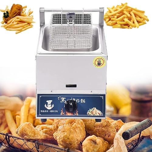 WEIMILOR Friggitrice elettrica Commerciale da 20 Litri con Controllo del Tempo e filtraggio dell'olio, Doppio cestello Rimovibile, friggitrice da banco in Acciaio Inossidabile per Uso Commerciale,10L