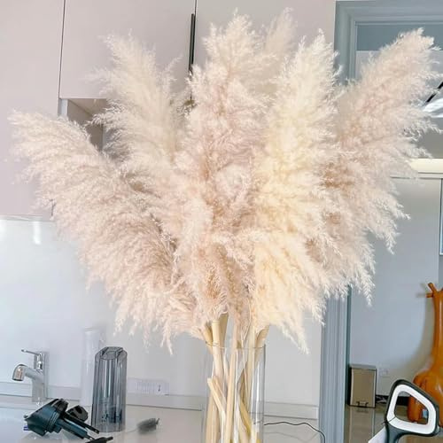 YLREAN 120 cm de césped Grande, Flores secas Naturales para decoración de Bodas, decoración Bohemia para el hogar, Fiesta, vegetación, Sala de Estar, Color Artificial A-5 Piezas sin jarrón