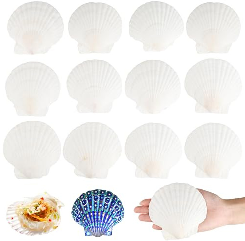 12 Stück Große Muschelschalen, Weiße 10-11cm Jakobsmuscheln deko