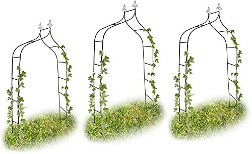 Arco de jardín de metal para plantas trepadoras, resistente a la intemperie, arco de entrada para pabellón para bodas, celebraciones, interior/exterior, decoración de jardín, arco de rosas con varias