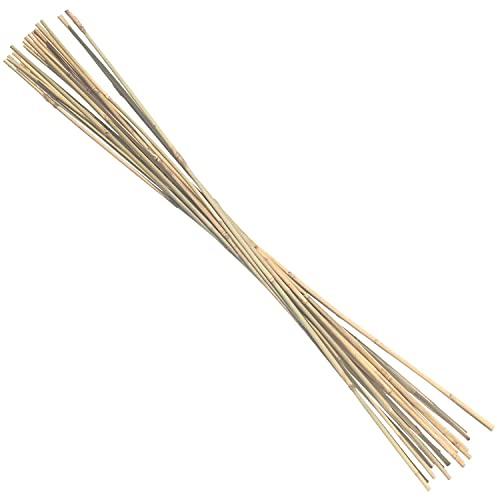 20 Tonkinstäbe 105 cm lang x 8-10 mm Ø stabile Pflanzstäbe
