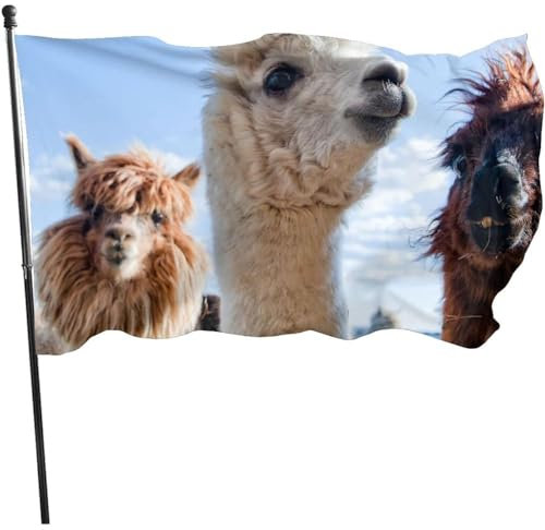 Fahne 90X150cm Süßes Alpaka-Lama Flagge Dekorative Garten Banner Uv-Beständig Haus Hof Flagge Für Paraden Haus Drinnen