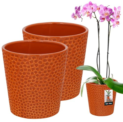 KOTARBAU® Juego de 2 macetas de cerámica esmaltada de color mostaza oscuro, 12 cm, altura: 15 cm, maceta de cerámica para orquídeas, maceta de cerámica, maceta moderna, maceta de interior