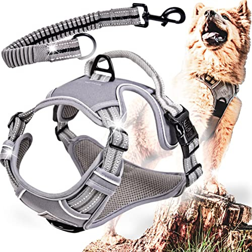 ne&no® Hundegeschirr mit passenden Ruckdämpfer [Developed by NE&NO] Geschirrset | Brustgeschirr für kleine und große Hund e | Geschirr Hund | Sicherheitsgeschirr (XL)
