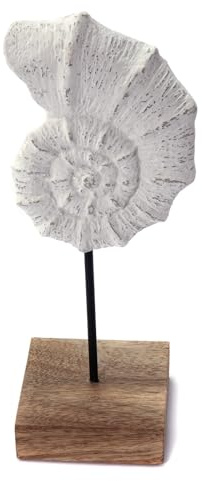 CREEDWOOD Muschel AUFSTELLER Shell | Mangoholz, weiß, 31cm | Dekofigur, Muschel Skulptur, Standfigur maritim, Bad Deko Meeresdeko, Deko Aufsteller