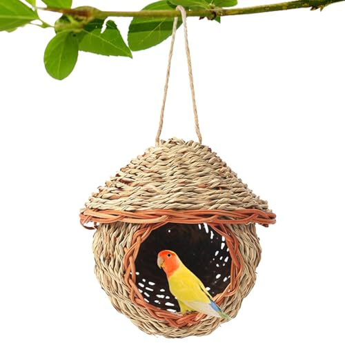 Nichoir pour Oiseaux – Nichoirs décoratifs pour Oiseaux Sauvages | Nid de Paille tissé à la Main Naturel | Nid d’Oiseau en Paille tissé à la Main pour Myna Grive Pivoine Finch Éclosion