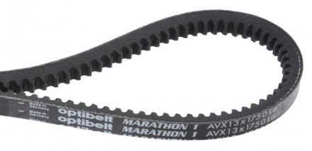Optibelt AVX 13 x 1750 Optibelt-Marathon 1 Keilriemen