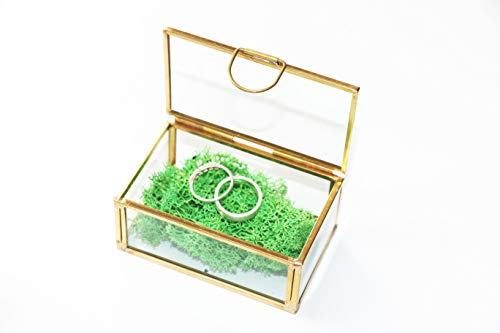 RiloStore Ringbox Glasbox Gold Farben + Islandmoos Ringkissen Alternative Glas Metallbox Vintage Nostalgie Ringhalter Ringträger Ringschatulle Ringbox Schatulle