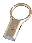 Lexon - NOMADAY LIGHT Mini linterna LED llavero con gancho (Oro)