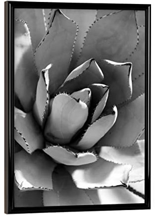 artboxONE Poster mit schwarzem Rahmen 18x13 cm Natur Agave Schwarz & Weiß - Bild Agave blackandwhite Blatt