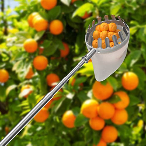 LekLai Obstpflücker, Obstpflücker Mit Ausziehbarer Teleskopstange Und Rutschfestem Griff, Obstgreifer Für Obstplantagen/5M/16 Ft