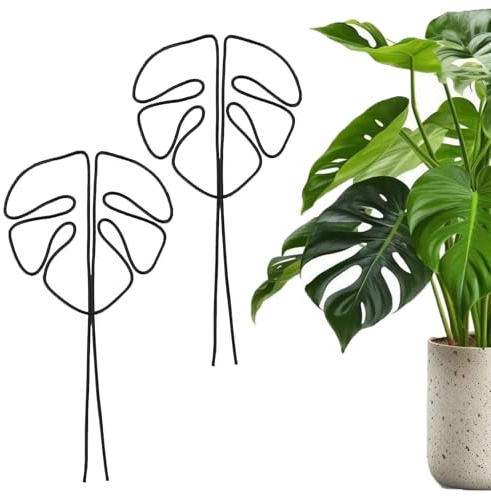 HhBdy 2 Stück Pflanzenstütze, Monstera Rankhilfe, Aluminium Mit Einzigartigem Blattdesign für Zimmerpflanzen, Vieltaltige Stängelstütze für Alocasia Und Monstera(Schwarz)