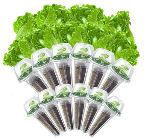 Iceberg Lettuce Seed Pods Kit for Hydroponic, 12 Pods Grow Anything Hydroponics Kit for Indoor Garden, Hydroponics Supplies with 12 Grow Sponges, 12 Plant Baskets, Iceberg Seeds - 12 POD