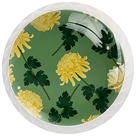 Set di 12 pomelli rotondi per cassettiera, armadietto, armadio, con viti, decorazione per casa, ufficio, asilo nido