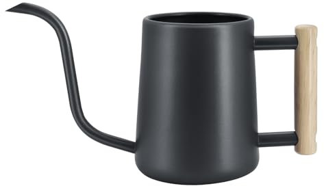 DingGreat Stainless Steel 1L Watering Can, Long Spout & Wooden Handle, Indoor Plant Care for Office and Home, Bonsai & Houseplants