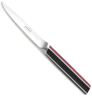 LACOR - 38224 - Couteau de cuisine Elite, acier inoxydable, tranchant conique, manche antidérapant, tranchant et résistant, nettoyage à la main, adapté à tout type de viande et de poisson, 12,5 cm