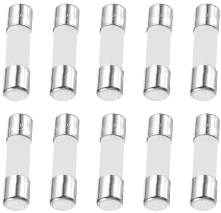 QUARKZMAN 10er Packung Keramik Sicherung 2.5A, Träge Feinsicherung 5x20mm Glassicherung 250V für Lichtern, Elektronik