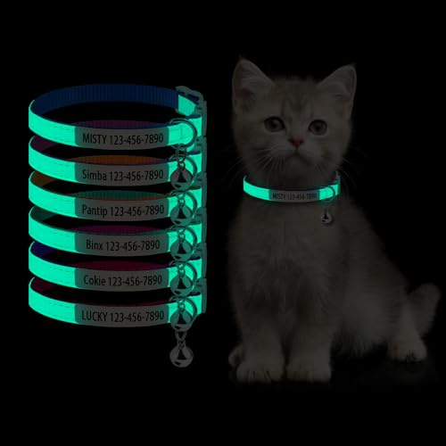 Collare per gatti personalizzato che brilla al buio – Collare identificativo per gatti personalizzato con nome e numero di telefono, collare luminoso regolabile a sgancio rapido per animali domestici
