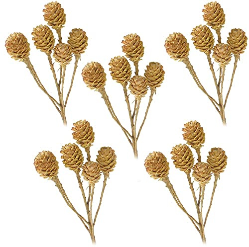 matches21 Salignumzweige 6 Köpfe ohne Blätter Trockenblumen Naturdeko getrocknet Bastelmaterial Natur hell 5er Set