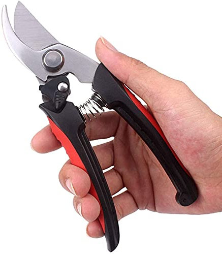 Forbici per potare per giardinaggio forbici per potare, alberi da frutto, tagliaerba forbici per potare, potare a mano, potare da giardino, forbici per giardinaggio. Ogni famiglia
