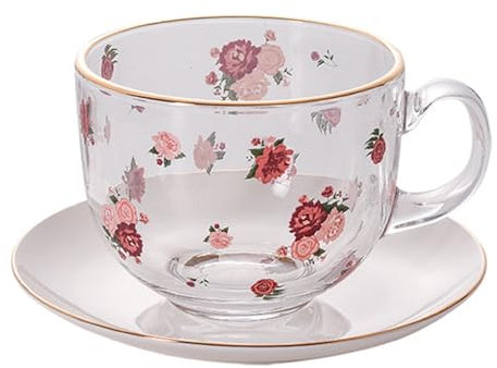 Bafnsiji Bol de céréales en Verre, Soupe de Bol de céréales en Verre avec poignée, Tasses en Verre avec Soucoupe, Bols de Petit déjeuner au Lait, Bol d'avoine Clair