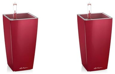 Lechuza MINI-CUBI Scarlet rot Hochglanz 18121 (Packung mit 2)