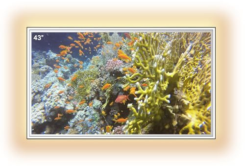 Soulaca Miroir TV de Salle de Bain 43 Pouces avec éclairage LED, téléviseur Intelligent Miroir de Coiffure Moderne 4K Ultra HD,YM43E-0BLS11070, Modèle 2026 (système Android)