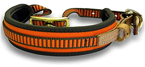 Niggeloh Hundehalsband Schweißhalsung, orange-oliv, S, 011100021