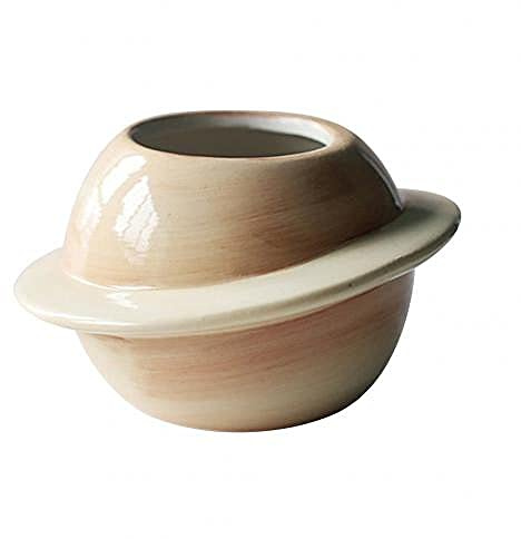 Cactus Vasetti Per Piantine Vasetti Piante Grasse Succulenta Vasetto Creative Planet Pentola In Ceramica Per Succulente Mini Ceramica Pianeta Succulente Bonsai Forma Fiore Vasca Da Tavolo Balcone Pati