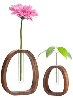 2 Stück Reagenzgläser mit Holzständer Reagenzglas Vase Kleine Blumenvasen für Blumen Hydrokultur Pflanzen Tischdeko