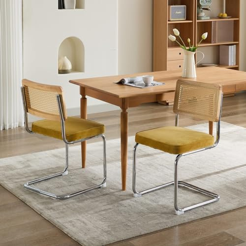BLUON HOME Freischwinger Stühle, Freischwinger Wiener geflecht, Mid Century Modern Essstühle Set von 2, Samt Akzent Stühle mit natürlichem Rohr Rücken & Edelstahl Chrome Base (Golden)