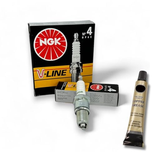 6x Zündkerzen V-Line passt für Mercedes S-Klasse W116 280S 280SE 280SEL + Kupferfett