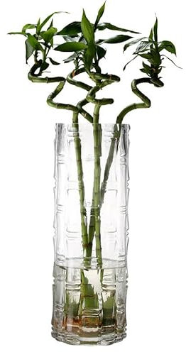 QEEYON Glass Vase Handmade Clear Glass Cylinder Posy 30cm Tall Heavy Crystal Flower Vase for Flowers Floral Arrangement for Centerpieces Living Room, Kitchen, Office, Wedding (30 x 12cm)