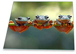 decorwelt Herdabdeckplatte Ceranfeld 1 teilig 60x52 Frosch Grün Kochplatten Glas Induktion