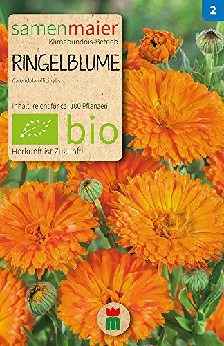 BIO Ringelblume orange Samen - hohe Wuchshöhe 50 cm, ideal für Gründüngung - einjährig, sonniger Standort - reicht für ca. 50 Pflanzen - Samen Maier