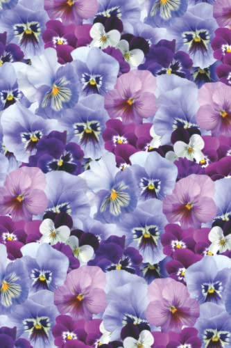 Pansies Notebook Journal for Women: 120 Page College Ruled Lined Handy Size 6x9 with 'No Text' Front Cover