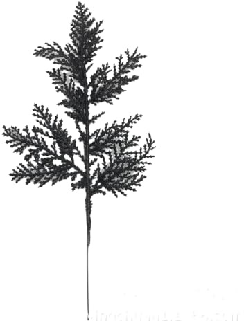 Vayliro 20 Stück Künstliche Weihnachtszweige Glitzer Deko Zweige Weihnachten Kunstpflanzen Tannenzweige Trockenblumen für Weihnachtsbaum Kranz Tischdeko Geschenkbox DIY Dekoration 27x13cm,Schwarz