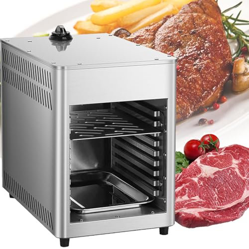 VNATWGOO Gewerblicher Gasofen FüR Den Innenbereich, 800℃ Konstante Temperatur, Edelstahlgrill, Temperatur Einstellbar FüR Steak, HüHnchen, Pizza, GemüSe,NPJ002G