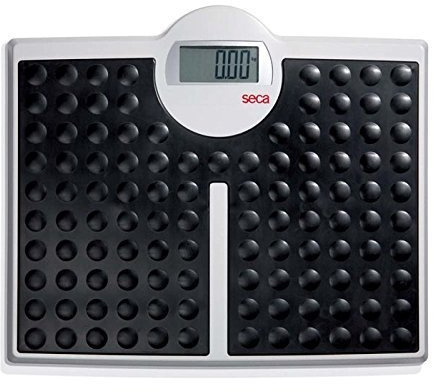Seca 813 Robusta High Load-Bearing Capacity Electronic Flat Scale by Seca