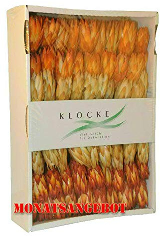 Trockenexoten aus Südafrika – 1 Karton - Dekoration Gedenkfloristik – Blumengestecke/Trauerkränze/Grabgestecke/Sargschmuck/Grabfloristik/Allerheiligen (Repens - Sortiment - 100 Stück)