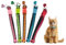 LBJFYHJN Katzenhalsbänder Set - 5 Halsbänder Katzen mit Glöckchen | Anti-Strangulationssicherheit | Leichtes Farbenfrohes Halsband Design