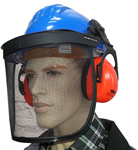 Casque de chantier avec protection visage et tête Casque de protection forestier casque anti-bruit Filet Bleu
