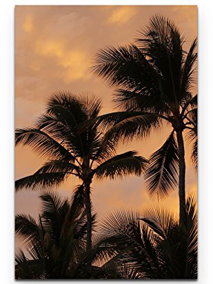 Leinwandbilder | Bilder Leinwand 90x60cm Palmen im Sonnenuntergang