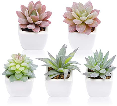 FUNARTY Künstliche Sukkulenten Pflanzen in Töpfen, Gefälschte Sukkulenten Kleine Topfpflanzen Faux Sukkulenten Pflanzen, Mini Fake Plants in Weiß Keramik Töpfe 5er Set, Schreibtischpflanze für