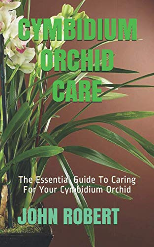 CYMBIDIUM ORCHID CARE: The Essential Guide To Caring For Your Cymbidium Orchid