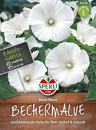 Sperli 85173 Malva Mont Blanc (Semillas de Malva)
